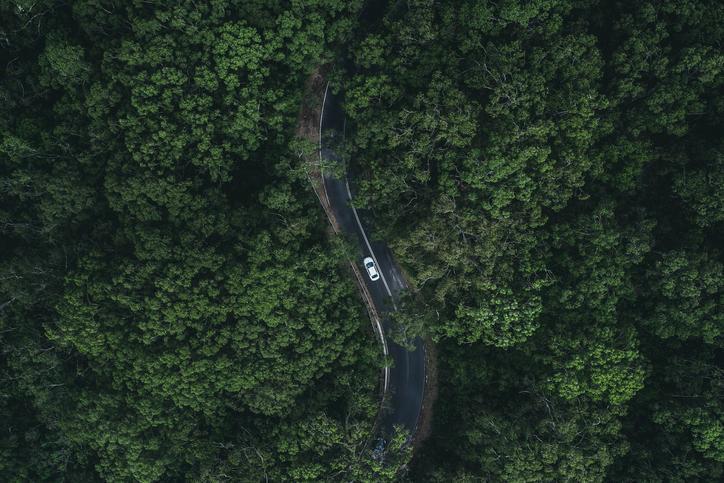 samochód jadący drogą wśród drzew